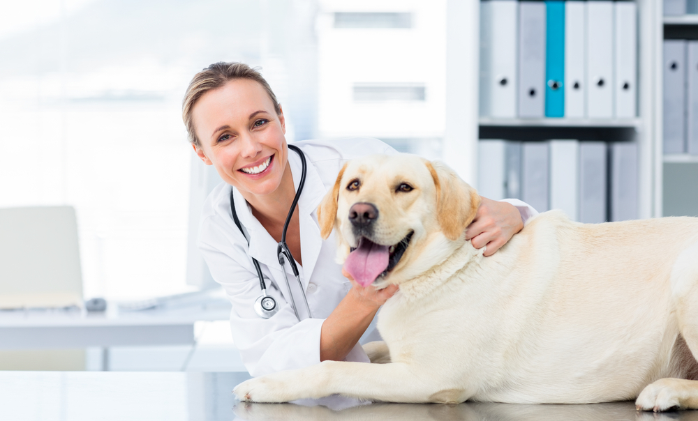 Understanding Veterinary Telemedicine in California Establishing the